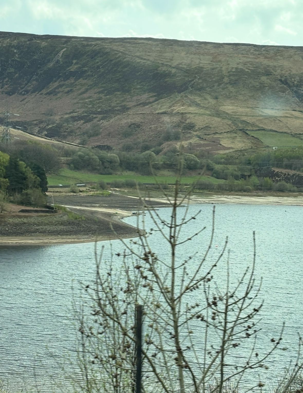 leading to quiet waters